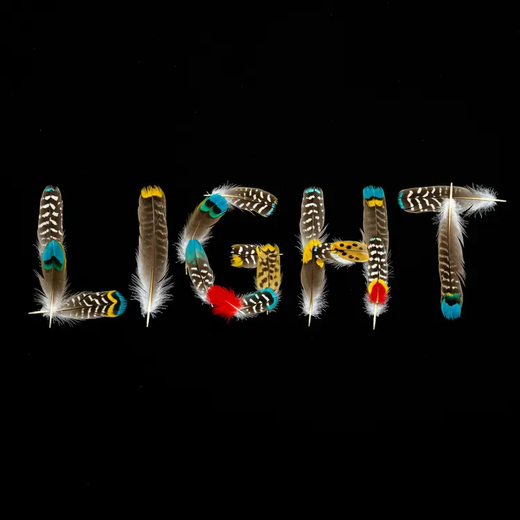 Word “light” made from various colorful feathers, black background