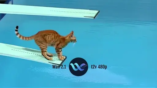 Wan 2.1 T2v 480p Text To Video Generation