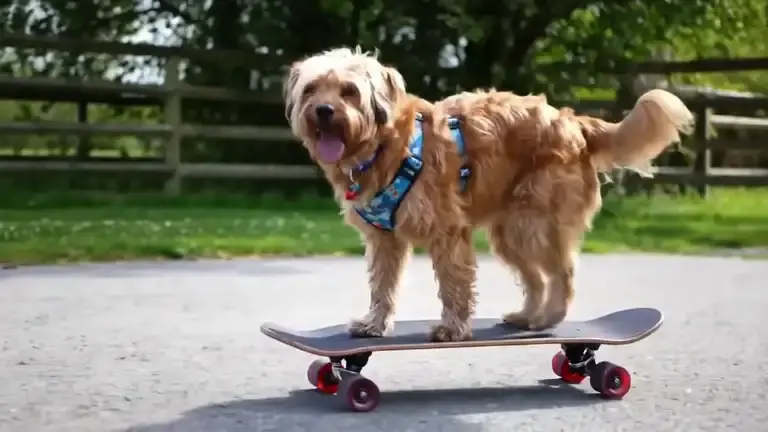 Veo 2 Text To Video Generation