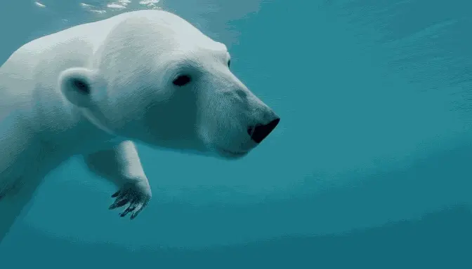 Create Animated GIFs And Videos From Text With Hotshot Xl