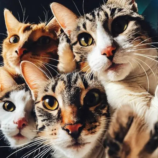 Interactuando con la Scarlett Johansson de 'Lucy'