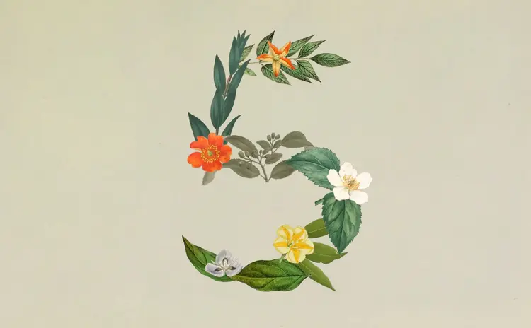 Automatisez Les Tâches De Codage Avec Claude Sonnet 5