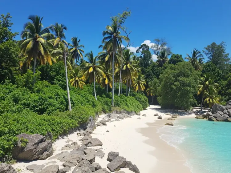 A tropical beach