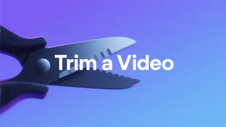 Trim Video Fast and Easily