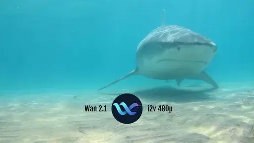 wan-2.1-i2v-480p Text-to-Video Generation