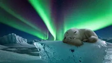 pixverse-v5 के साथ आश्चर्यजनक AI वीडियो बनाएं